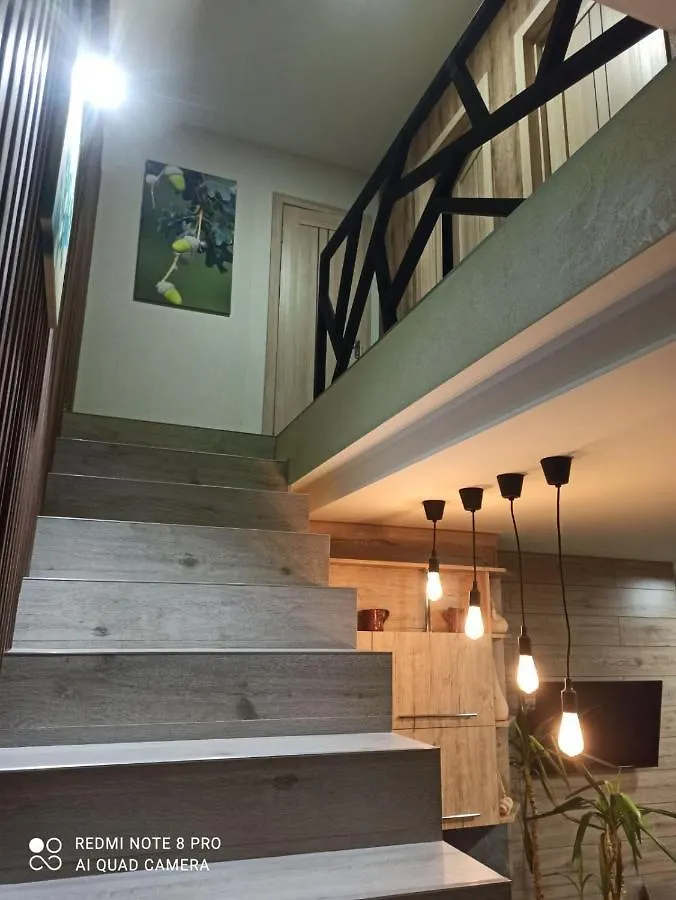 Villa Home And Spa Kyiv